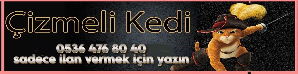 İstanbul Escort Bayan